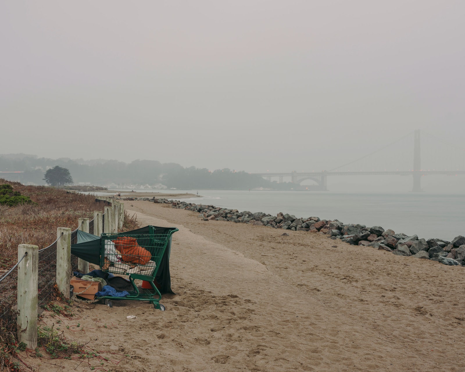 buggy on beach