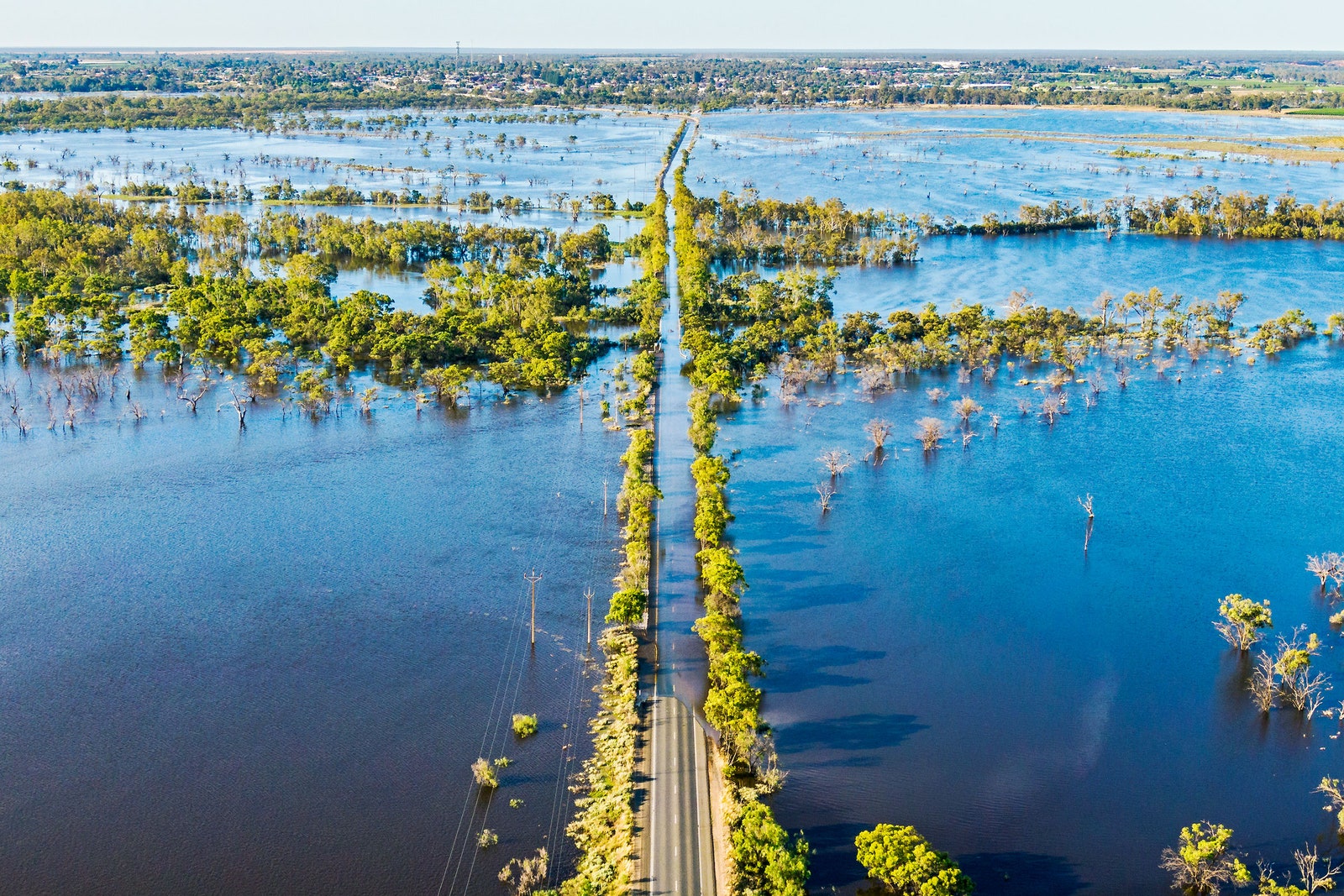 DeepMind Wants to Use AI to Solve the Climate Crisis