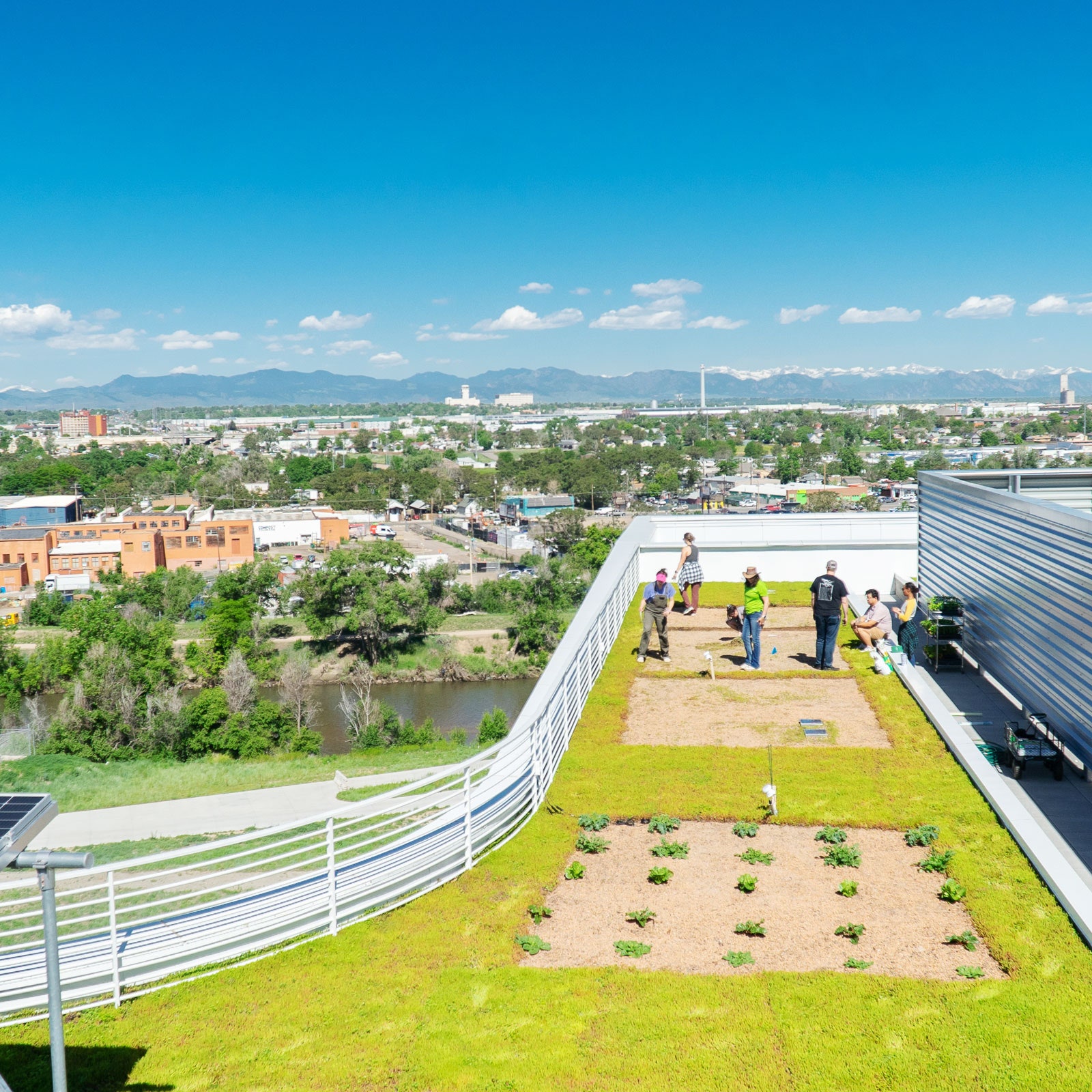 The Ultra-Efficient Farm of the Future Is in the Sky