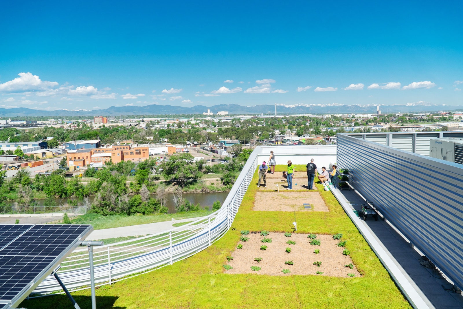 The Ultra-Efficient Farm of the Future Is in the Sky