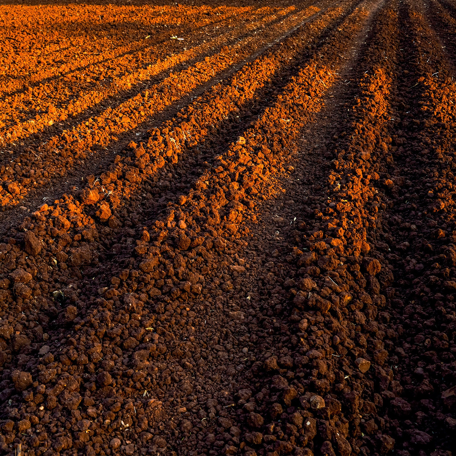 Heat Waves in the Ground Are Getting More Extreme&-and Perilous